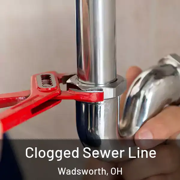  Clogged Sewer Line Wadsworth, OH