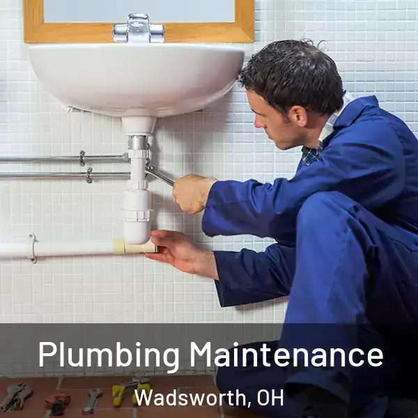  Plumbing Maintenance Wadsworth, OH