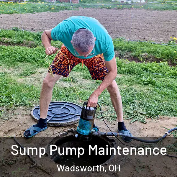  Sump Pump Maintenance Wadsworth, OH