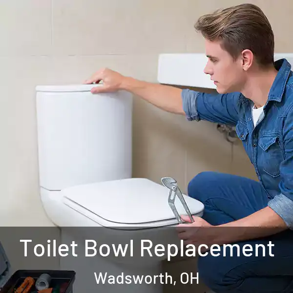  Toilet Bowl Replacement Wadsworth, OH
