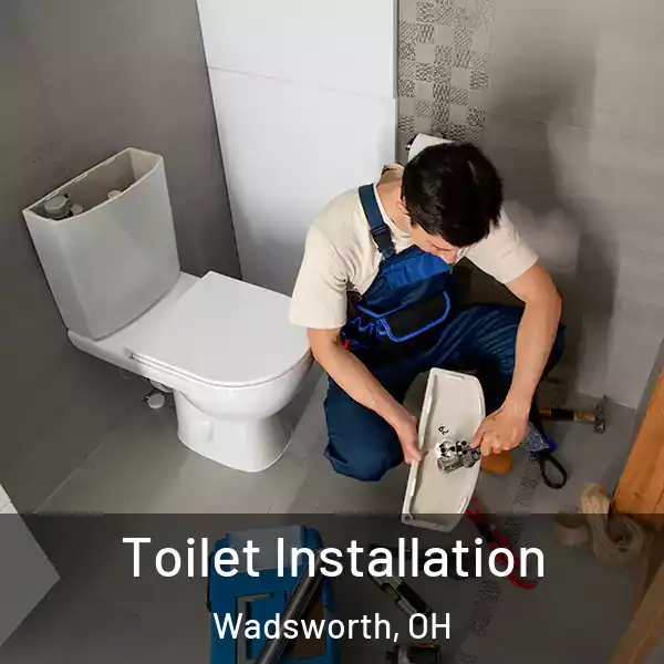  Toilet Installation Wadsworth, OH