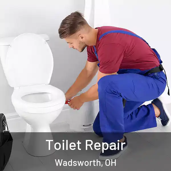  Toilet Repair Wadsworth, OH