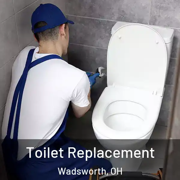  Toilet Replacement Wadsworth, OH